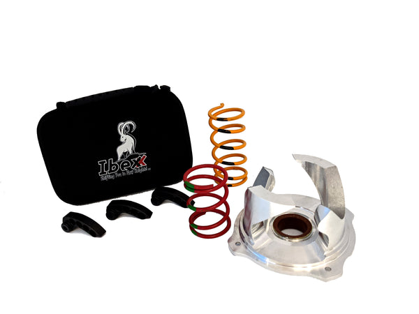 ピック Polaris Rzr 900 Clutch Kit – Ibexx